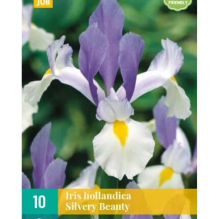 IRIS SILVERY BEAUTY