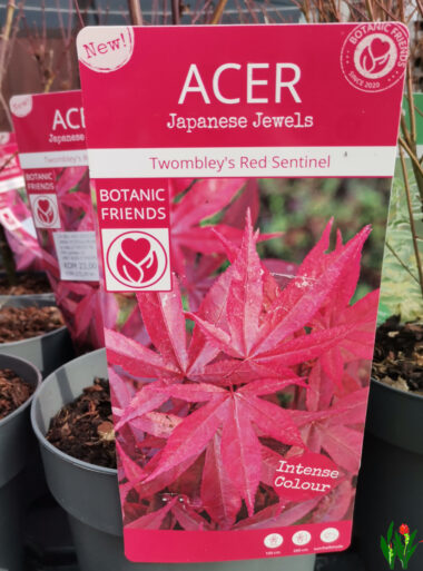 acer twom.red sentinel