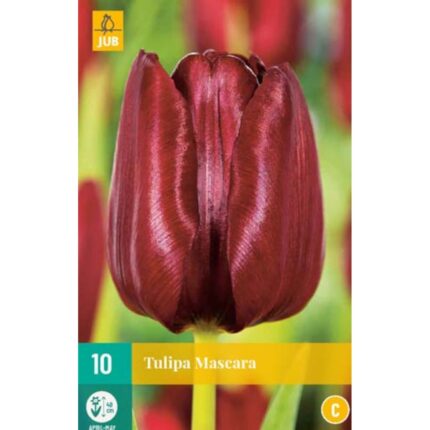 TULIPA MASCARA