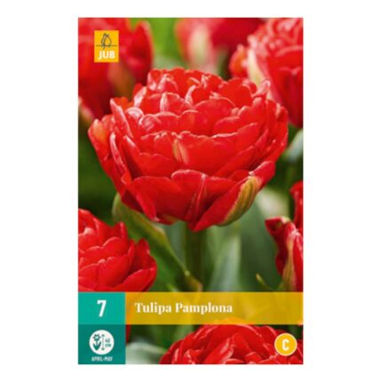 TULIPA PAMPLONA