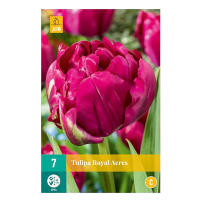 TULIPA ROYAL ACRES