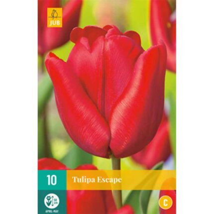 TULIPA Escape