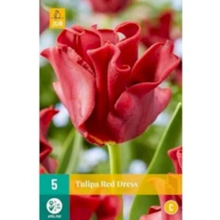 TULIPA RED DRESS